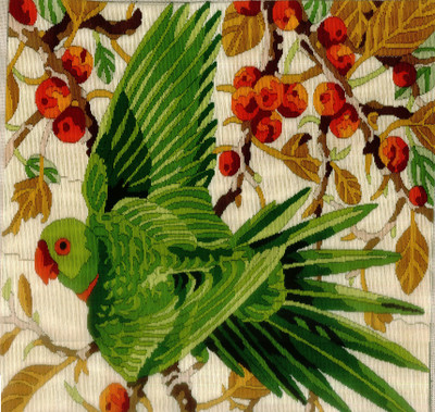 Anchor Stitch Kit-Parakeet