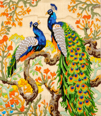 

Anchor Stitch Kit-Feathered Beauties