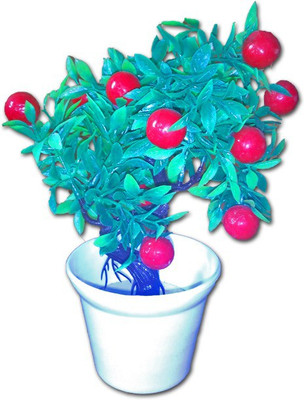 

CraftVilla FLW0001 Green, Red Assorted Artificial Flower with Pot(5.6 inch, Pack of 1)