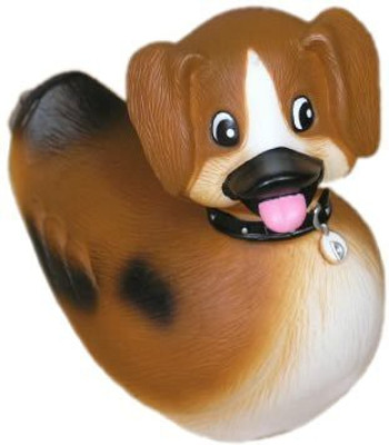 

Rubba Ducks Rd00072 Duckhound Collector Display Box Bath Toy(Multicolor)