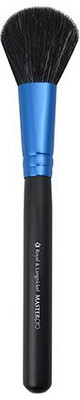 

Royal & Langnickel Brush Master Pro Blush Brush(Pack of 1)