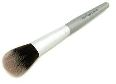 

Youngblood Other - Luxurious Blush Brush For Women(Pack of 1)