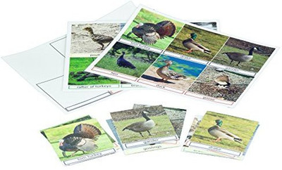 

Keeping Busy Bird Families Match The Photos - Engaging Activity For Dementia And Alzheimer'S(Multicolor)