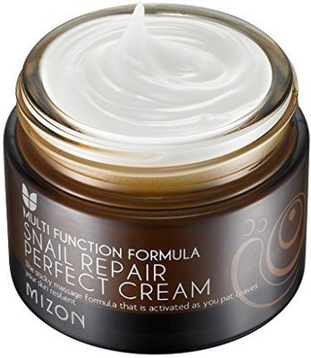 MIZON Snail Repair Perfect Cream(50 ml)