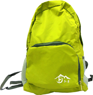 

Palakz Foldable Lightweight 16.5 L Backpack(Green)
