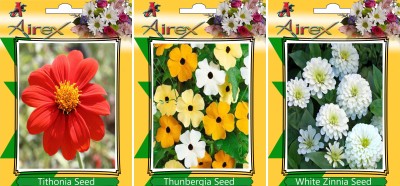 Airex Tithonia, Thunbergia, White Zinnia Seed(20 per packet)