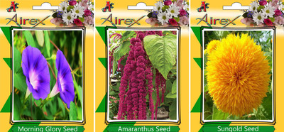 

Airex Morning Glory, Amaranthus, Sungold Seed(25 per packet)