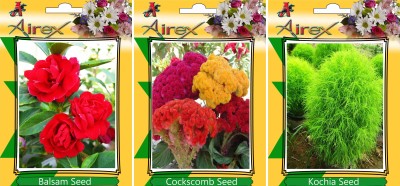 Airex Balsam, Cockscomb, Kochia Seed(20 per packet)