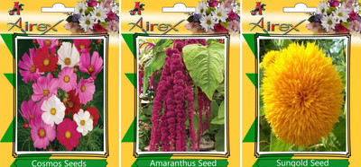 Airex Cosmos Mixed, Amaranthus, Sungold Seed(20 per packet)