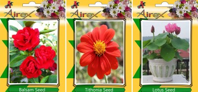 Airex Balsam, Tithonia, Lotus Seed(15 per packet)