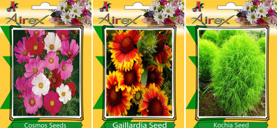 

Airex Cosmos Mixed, Gaillardia, Kochia Seed(20 per packet)