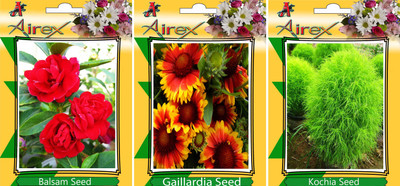 

Airex Balsam, Gaillardia, Kochia Seed(15 per packet)