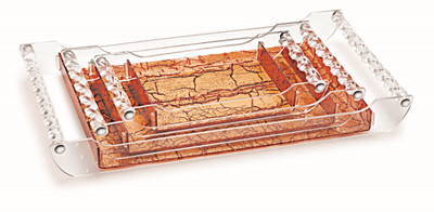 

Radhika Tray BWN 0001 Tray(Pack of 3)