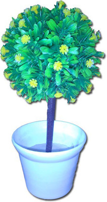 

CraftVilla FLW0004 Green, Yellow Assorted Artificial Flower with Pot(5.5 inch, Pack of 1)