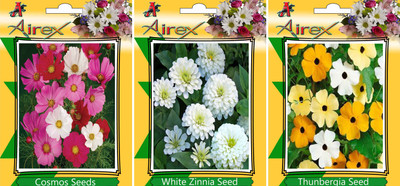 

Airex Cosmos Mixed, White Zinnia, Thunbergia Seed(20 per packet)