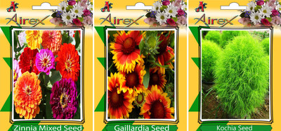 

Airex Zinnia Mixed, Gaillardia, Kochia Seed(20 per packet)