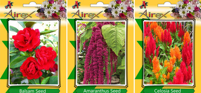 

Airex Balsam, Amaranthus, Celosia Seed(20 per packet)