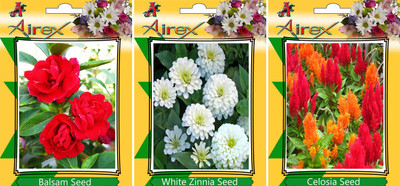 

Airex Balsam, White Zinnia, Celosia Seed(20 per packet)