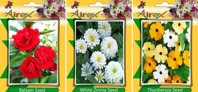 

Airex Balsam, White Zinnia, Thunbergia Seed(15 per packet)