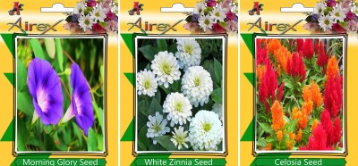 Airex Morning Glory, White Zinnia, Celosia Seed(20 per packet)