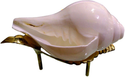 

Divine Temples Big Blowing Shankh With Stand Blowing Shankh(White)
