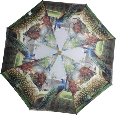 

HOU-DY 3 Fold Auto Open Peacock Umbrella(Multicolor)