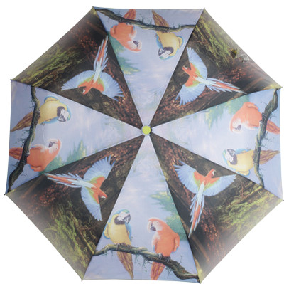

HOU-DY 3 Fold Auto Open Parrot Unisex Umbrella(Multicolor)