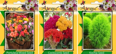 

Airex Portulaca Mixed, Cockscomb, Kochia Seed(25 per packet)