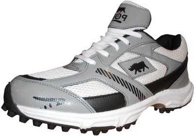 

Port Mendrine Cricket Shoes For Men(Multicolor