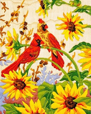 

Anchor Stitch Kit-Birds of Spring