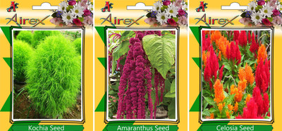 

Airex Kochia, Amaranthus, Celosia Seed(25 per packet)