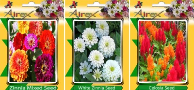 Airex ZInnia Mixed, White Zinnia, Celosia Seed(25 per packet)