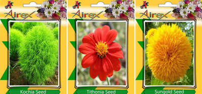 

Airex Kochia, Tithonia, Sungold Seed(15 per packet)