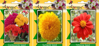 

Airex Cockscomb, Sungold, Tithonia Seed(15 per packet)