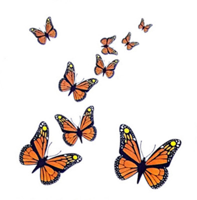 

Savii Arm Hand Wrist Tattoo(Butterflies)