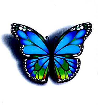 Savii Arm Hand Wrist Tattoo 3d Butterfly Buy At The Price Of