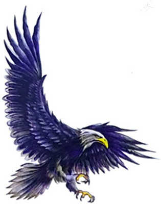 

Savii Arm Hand Wrist Tattoo(Eagle)