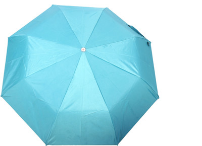 

Citizen 21.5 Manual Umbrella(Blue)