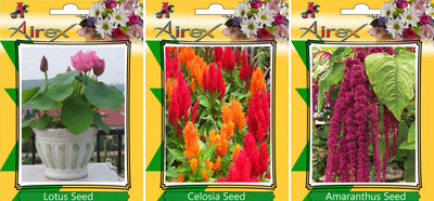 

Airex Lotus, Celosia, Amaranthus Seed(15 per packet)
