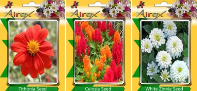 Airex Tithonia, Celosia, White Zinnia Seed(15 per packet)