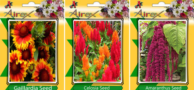 

Airex Gaillardia, Celosia, Amaranthus Seed(20 per packet)