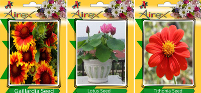 

Airex Gaillardia, Lotus, Tithonia Seed(25 per packet)