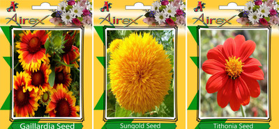 

Airex Gaillardia, Sungold, Tithonia Seed(20 per packet)
