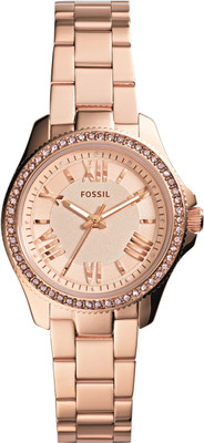 

Fossil AM4578I Watch - For Women