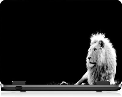 

Box 18 LP2511 Vinyl Laptop Decal 15.6