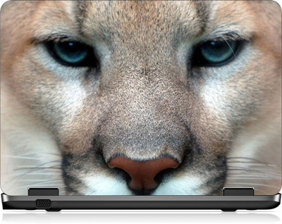 

Box 18 LP2542 Vinyl Laptop Decal 15.6