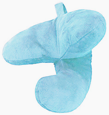 

Vinr Neck Head Chin Support Sleeping Soft & Comfortable - Washable-BLUE For Travel Neck Pillow(LIGHT-BLUE)