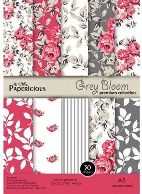 

Papericious Premium Edition Paper Pack Printed A5 Multipurpose Paper(Set of 1, Multicolor)