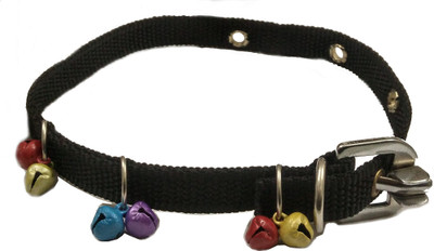 

Sollar's Dog Everyday Collar(, Black