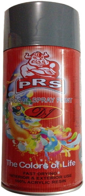 

PRS Gun Grey Spray Paint 450 ml(Pack of 1)